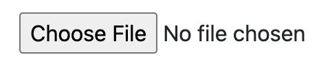 default file input